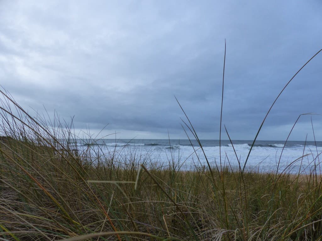 Plage lendemain de tempête de vent 