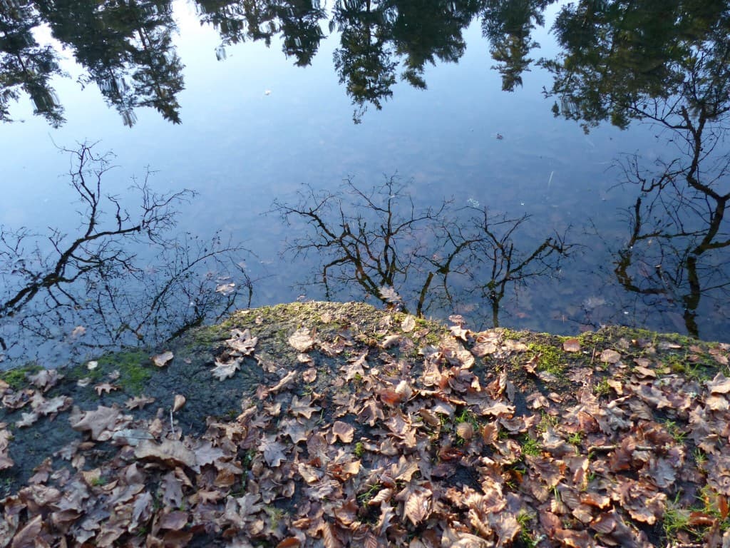 Reflets 