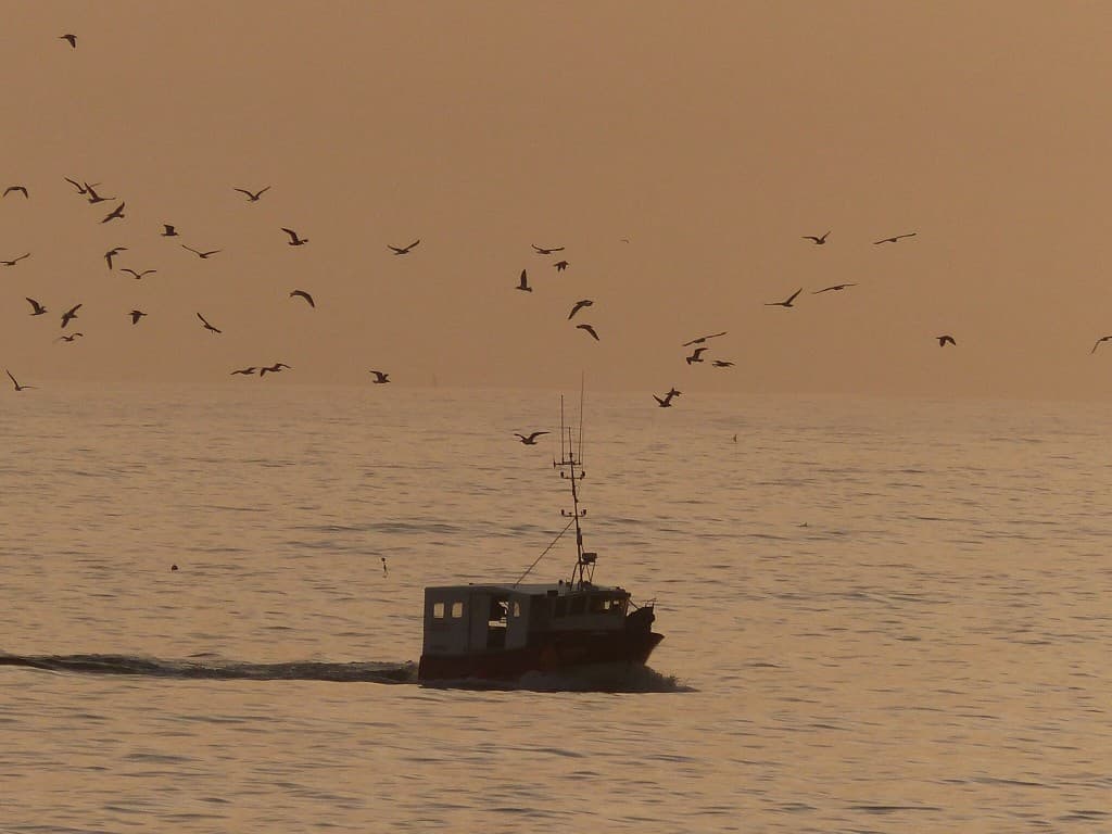 Retour de pêche 