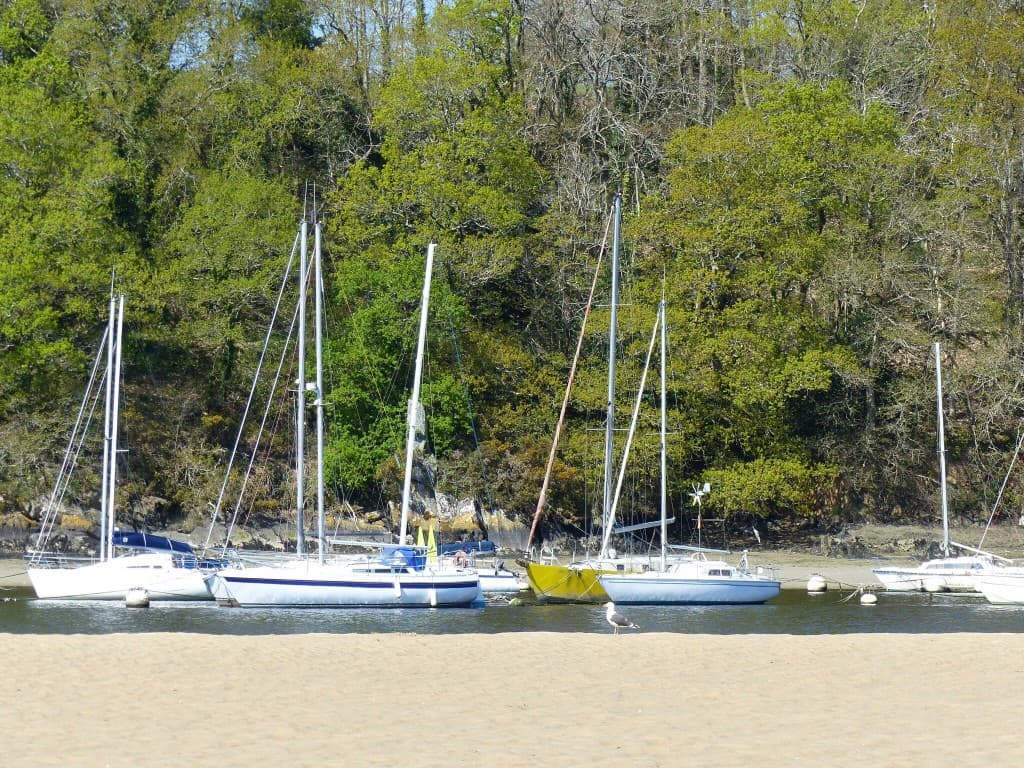 Marée basse 