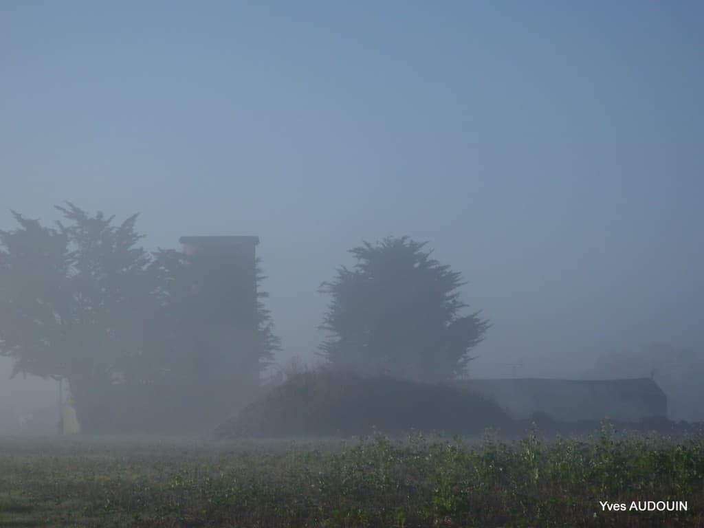 Matinée très brumeuse en ce dimanche matin.