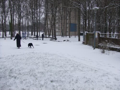 neige 05/02/2012