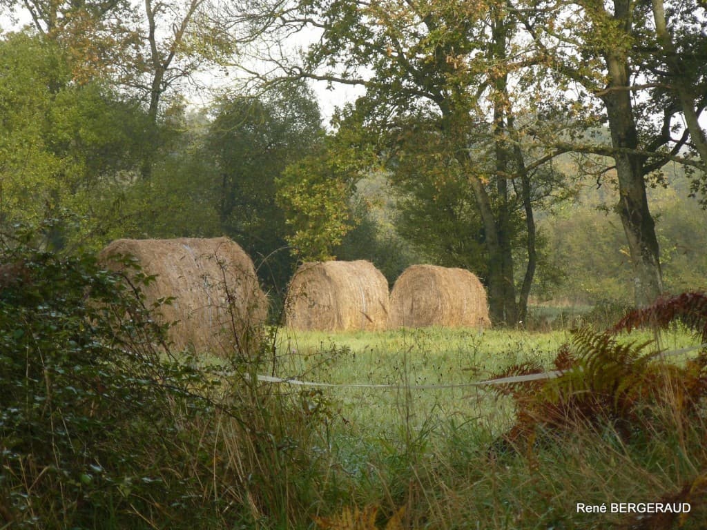 Belle journée d'été