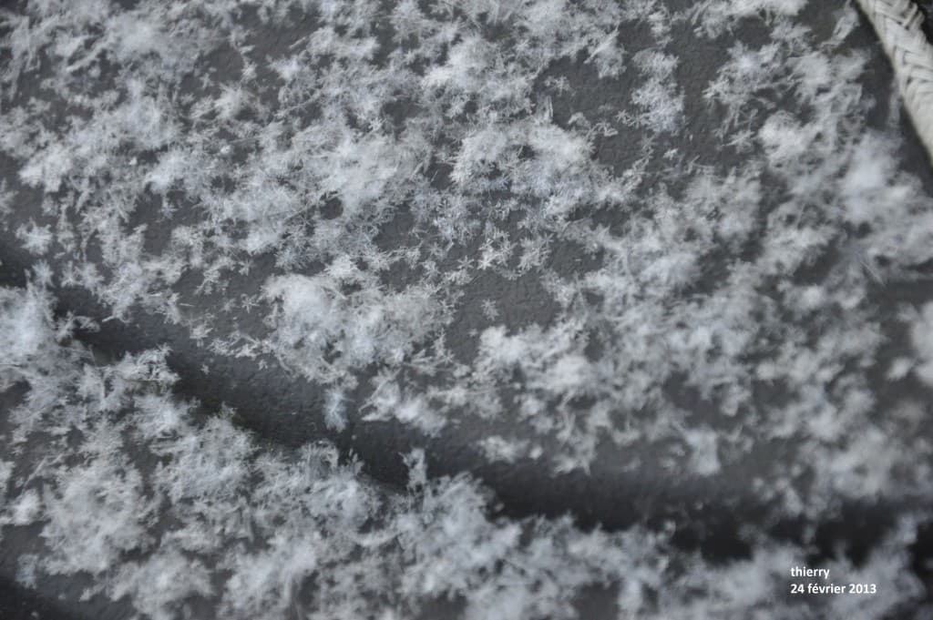 étoiles de Neige