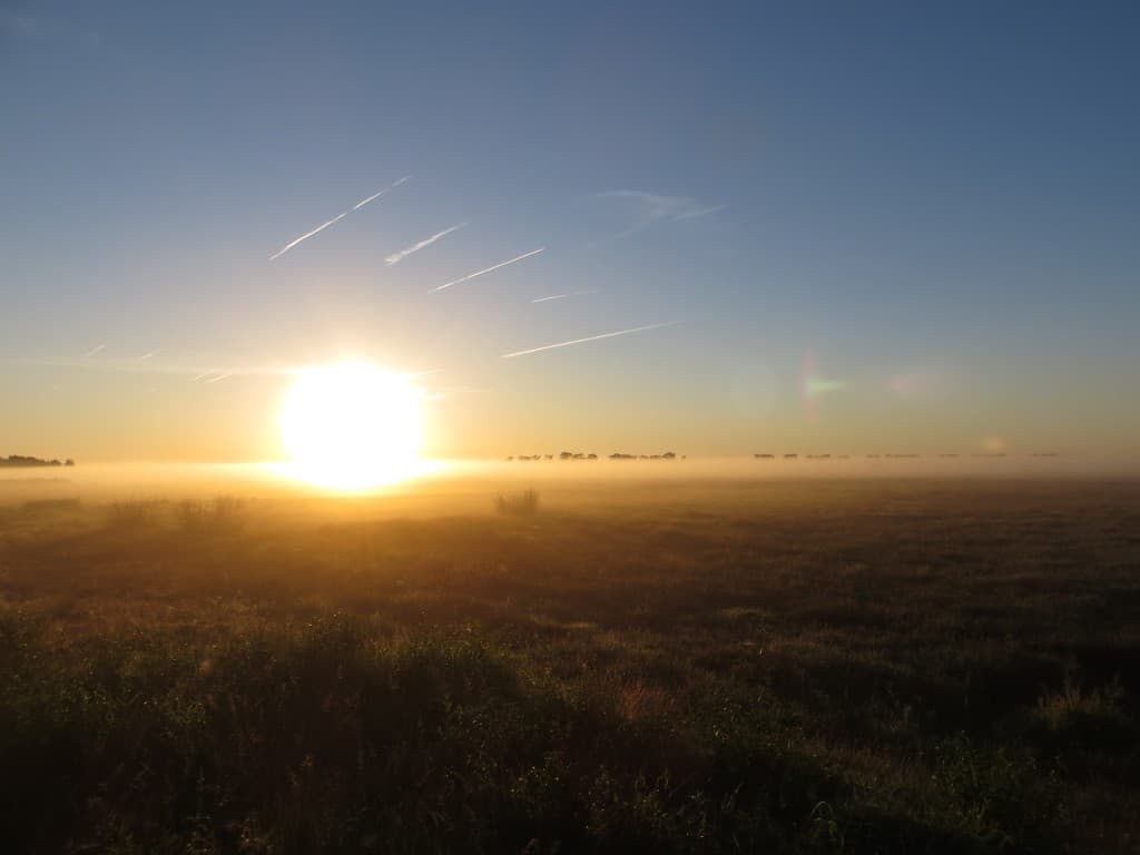explosion du soleil sur le marais