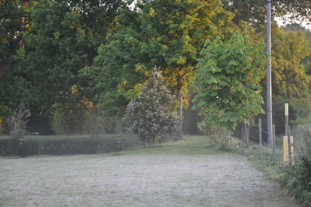 gelée au sol du 27 mai
