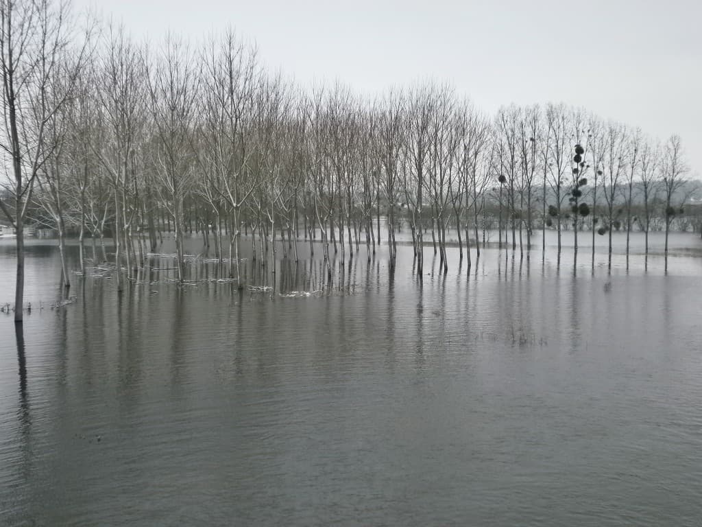 l' hiver est bien installé