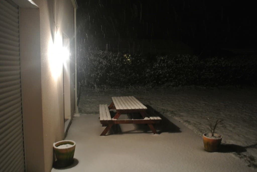 le jardin sous la neige