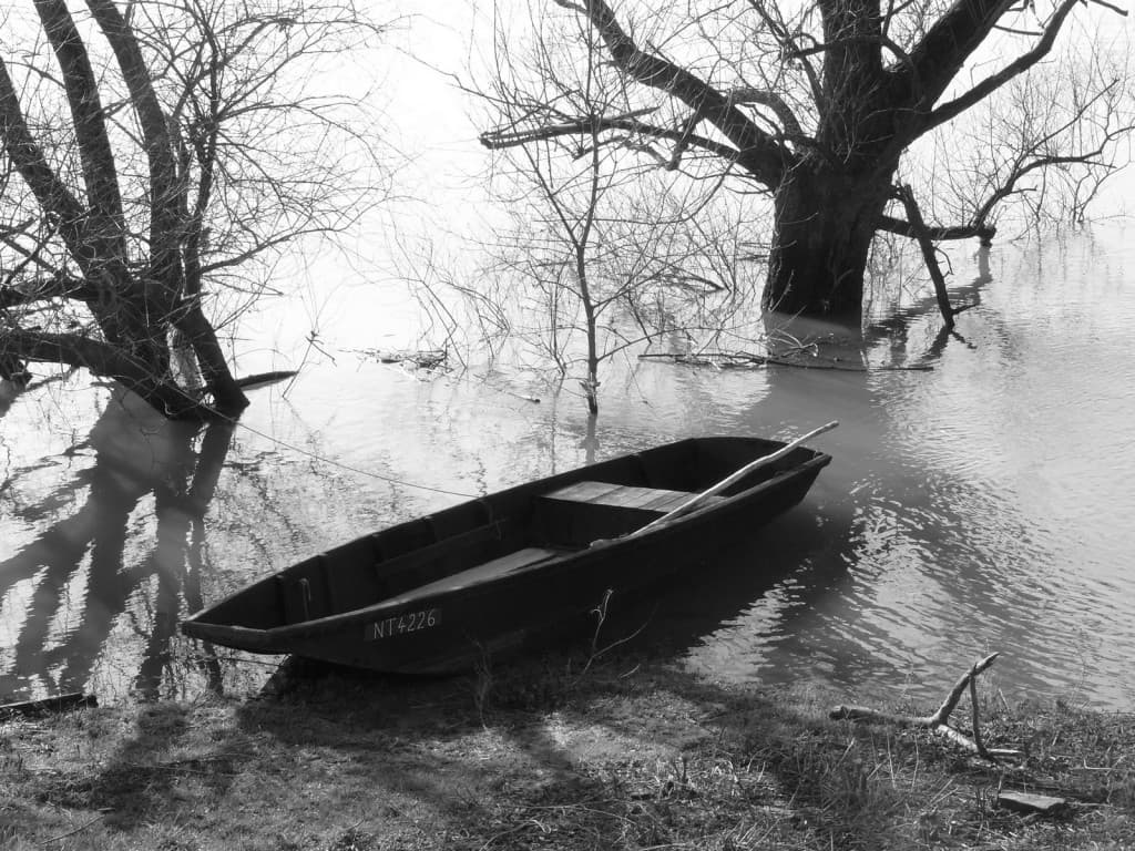Les bords de Loire