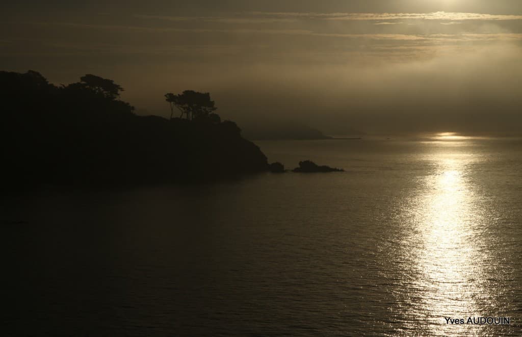 Levé du jour dans la brume