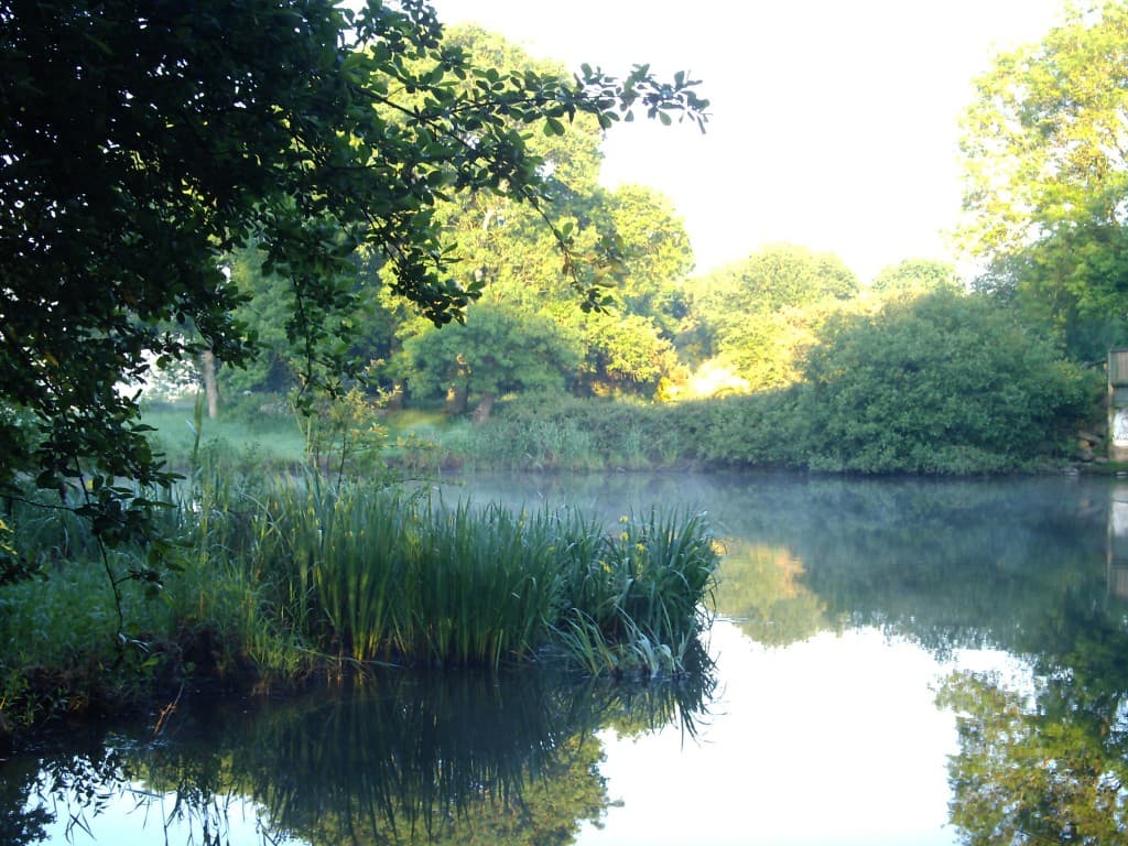 lever du jour