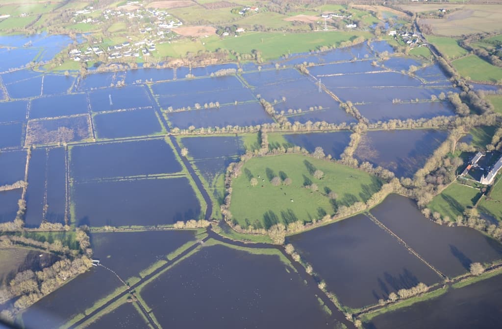 prés inondés