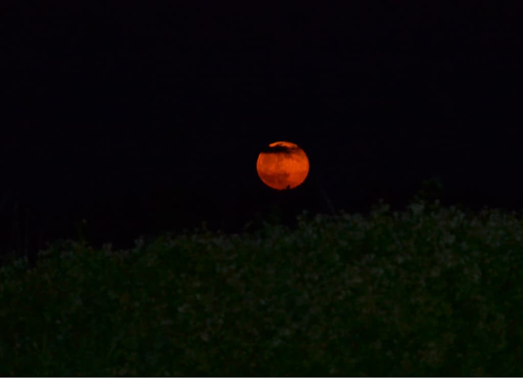 quand la lune se lève