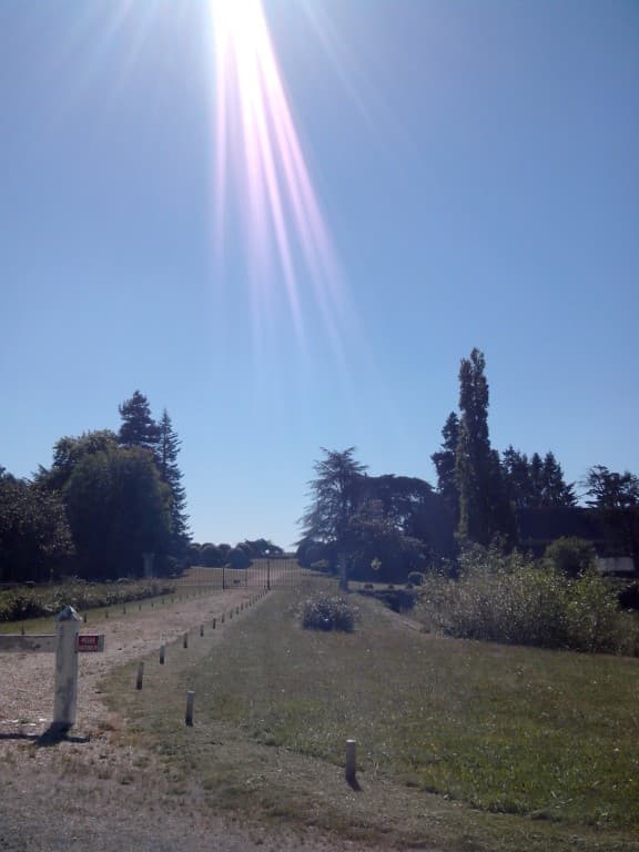 Rayon de soleil