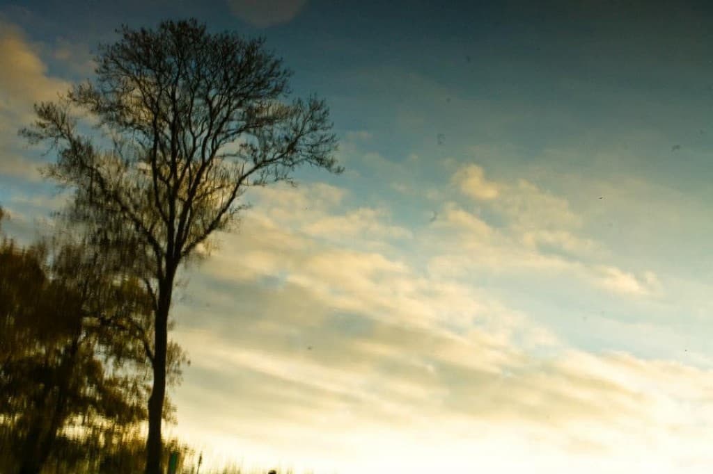 Reflets