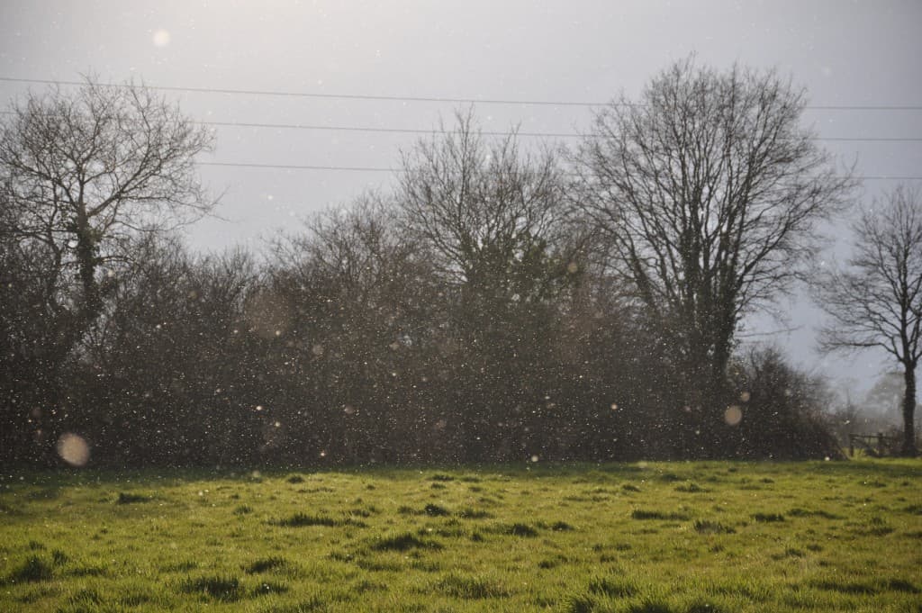 soleil et flocons