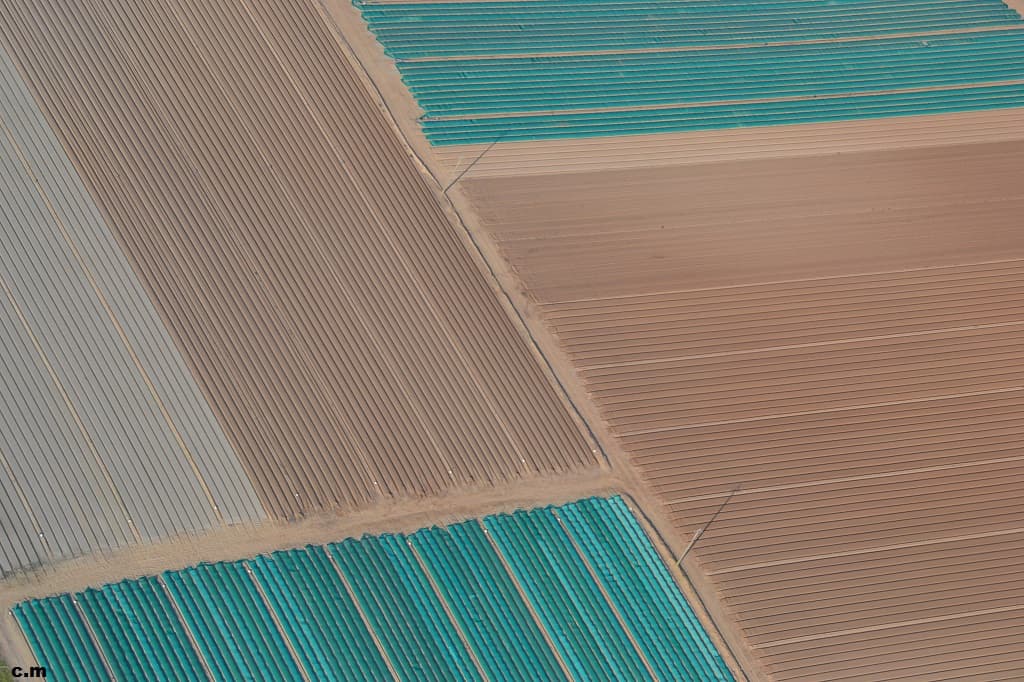 art agricole