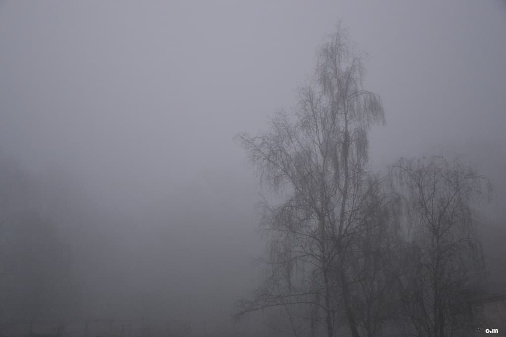 ce matin, visibilité très réduite