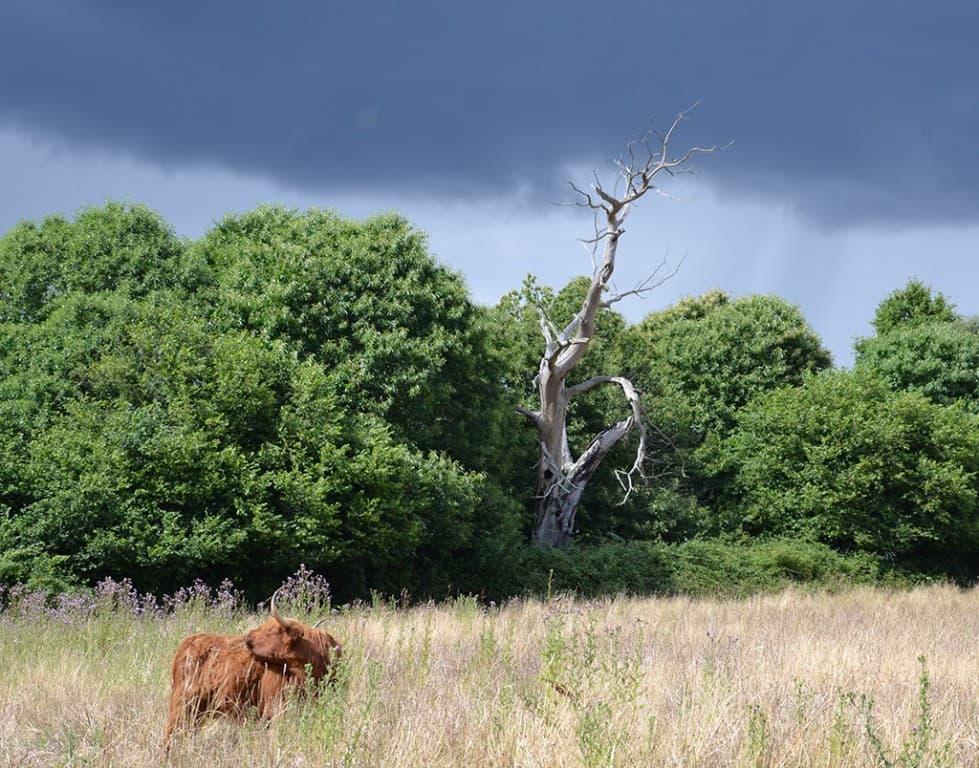 et voilà, la pluie revient