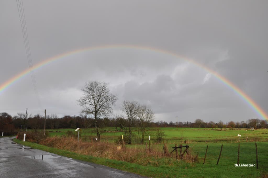 Giboulée de janvier