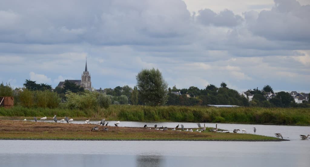 la briere