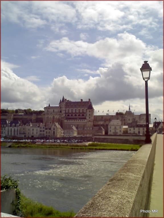 LE CHATEAU ROYAL D'AMBOISE 