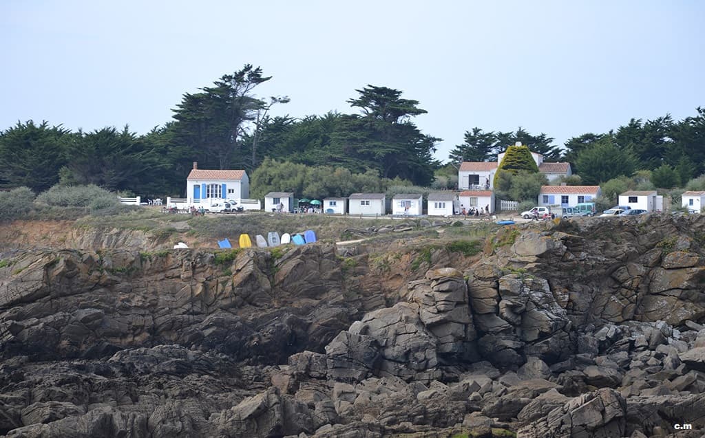 les sabias