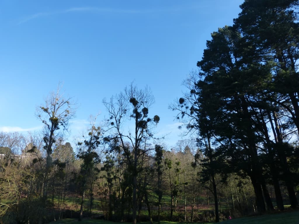 Matinée ensoleillée au parc de la Chézine