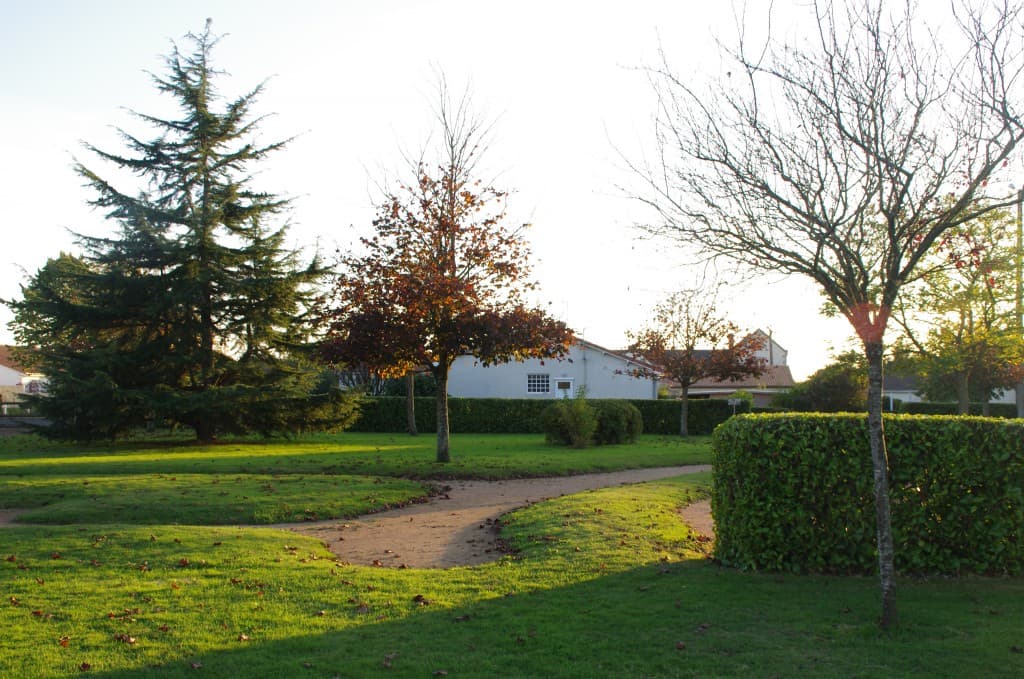 Soleil rasant le soir