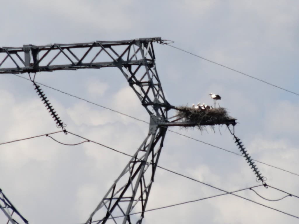 Sous très haute tension