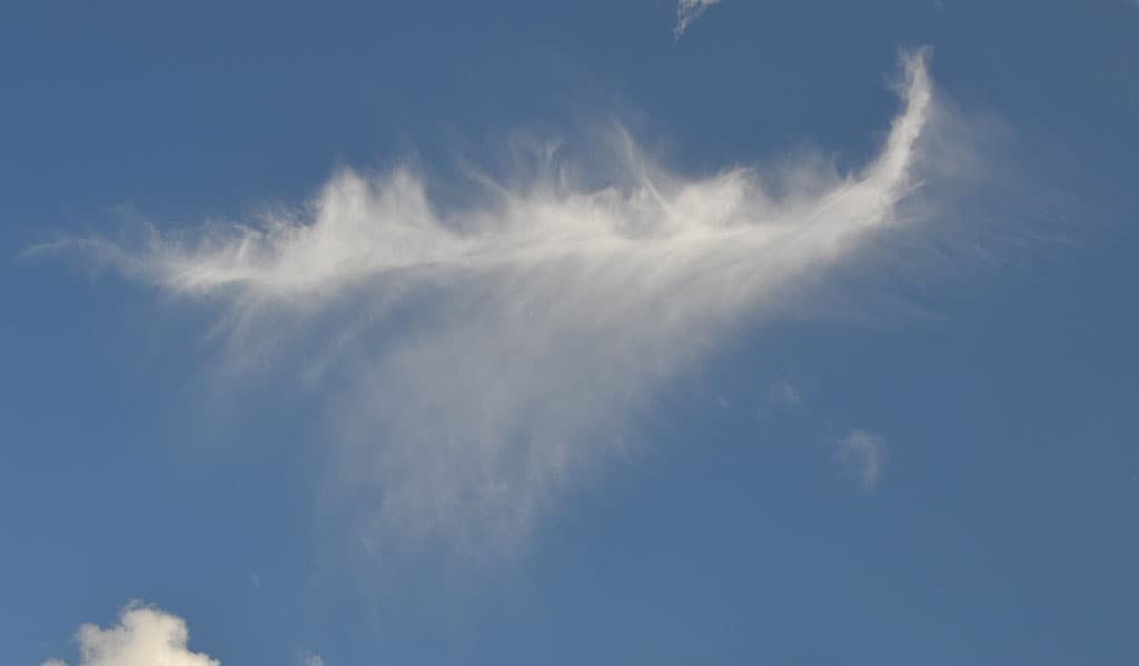une plume dans le ciel