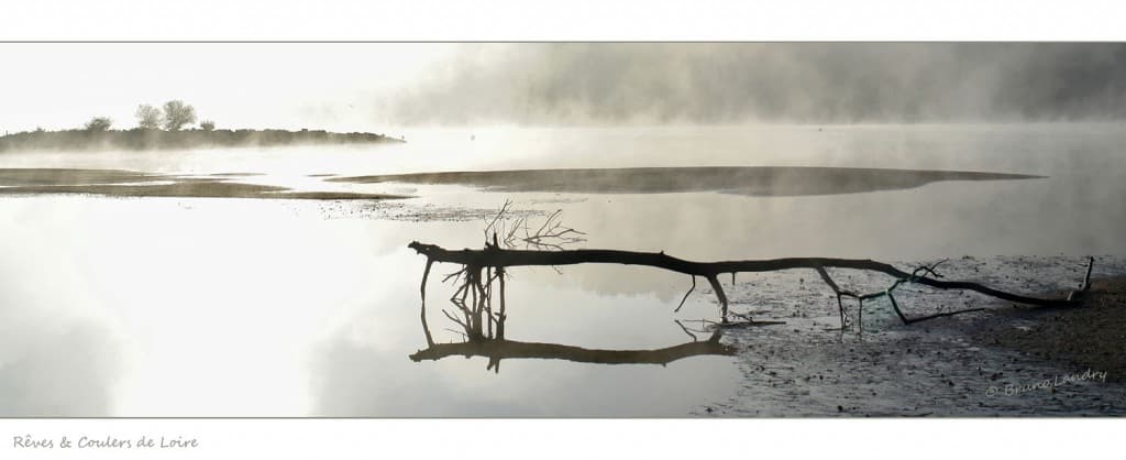 nature morte et levé du jour sur la Loire