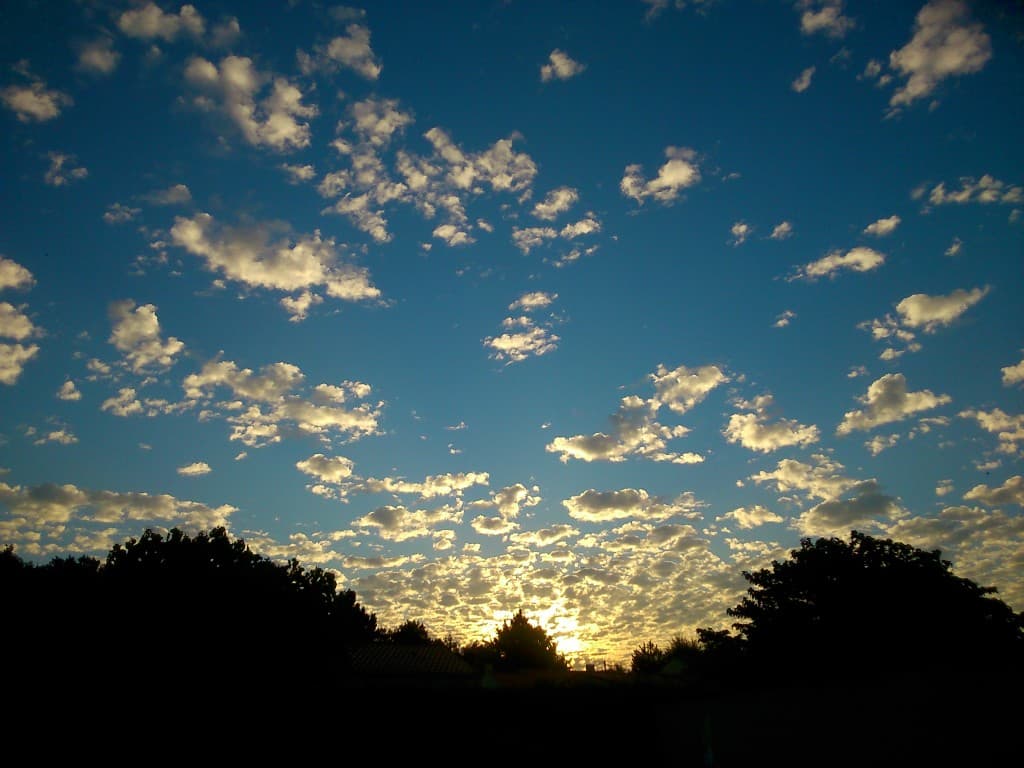 tot le matin !