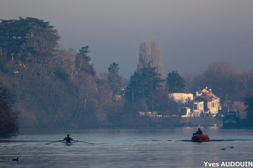Brume matinale