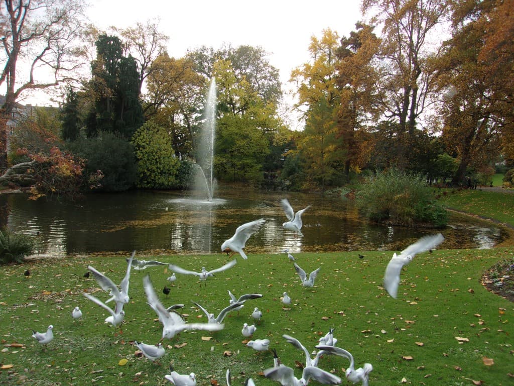 GLG. Promenade au jardin des plantes.