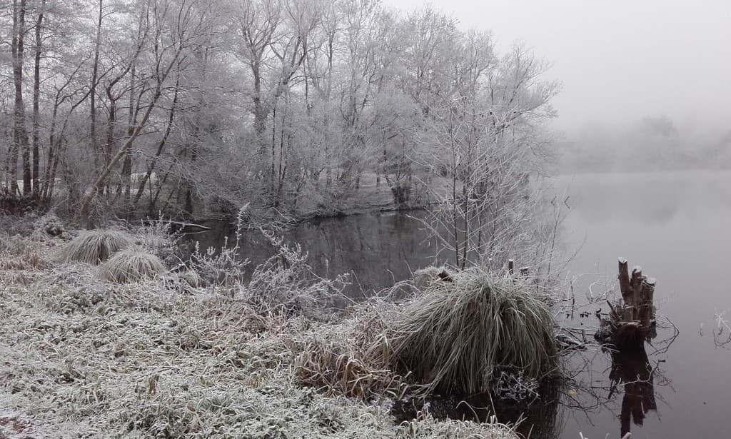 Paysage au bord de l'Erdre ACG
