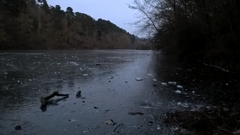 Etang St Nicoals figé