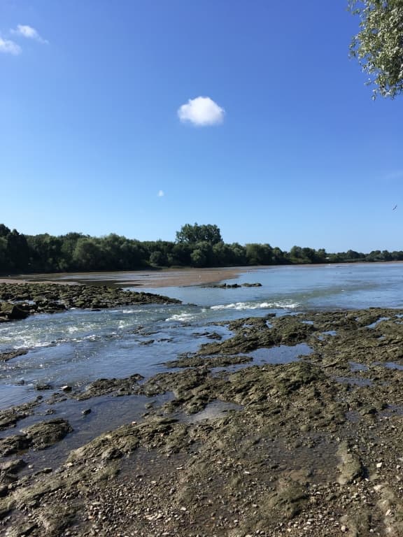 la Loire Ã  Bellevue 