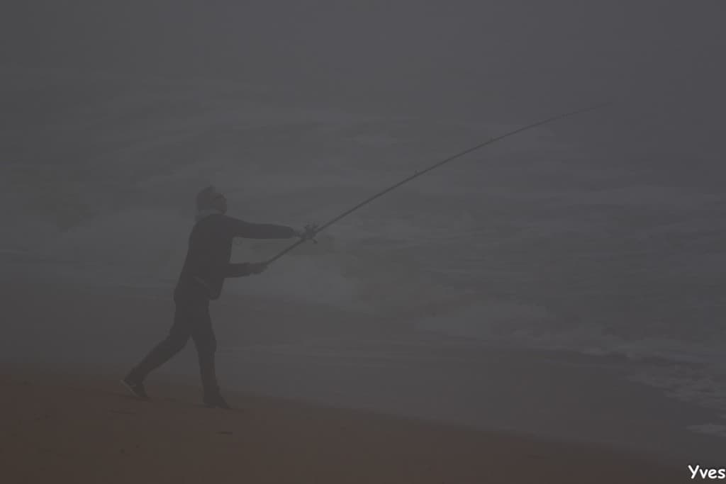 Brouillard tout au long de la journée !