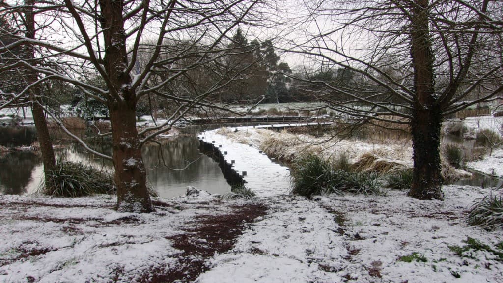 GLG - Quelques flocons de neige. 