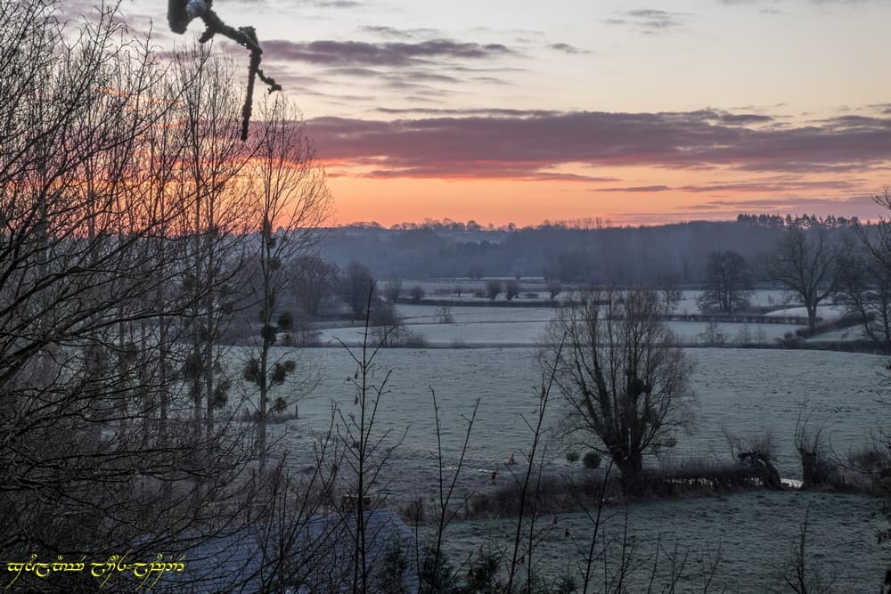 Couleurs dans le bocage -II