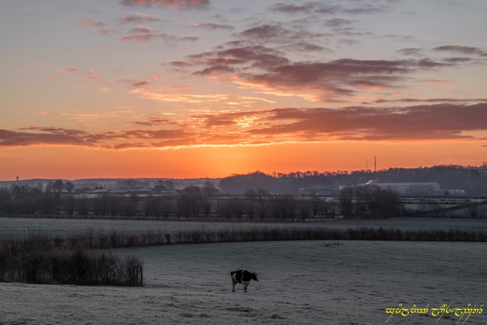 Couleurs dans le bocage -III