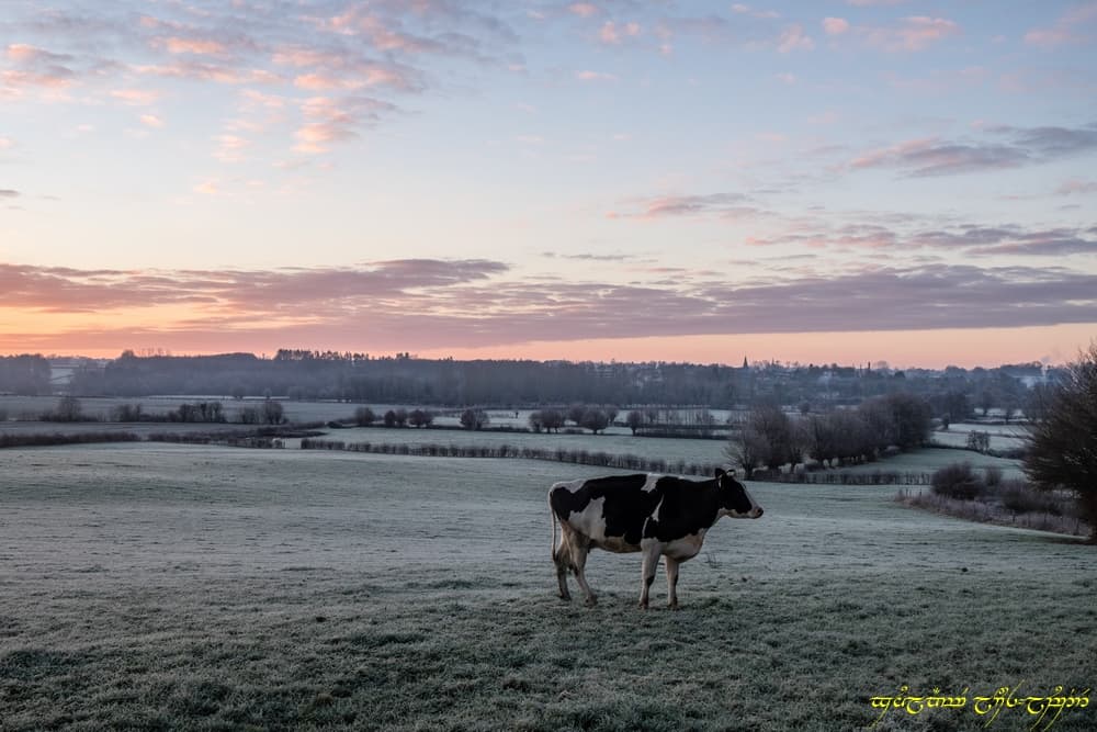 Couleurs dans le bocage -IV