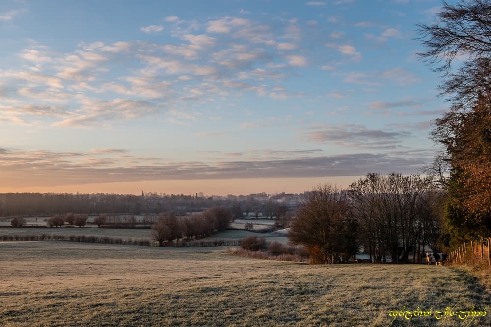 Couleurs dans le bocage -VII
