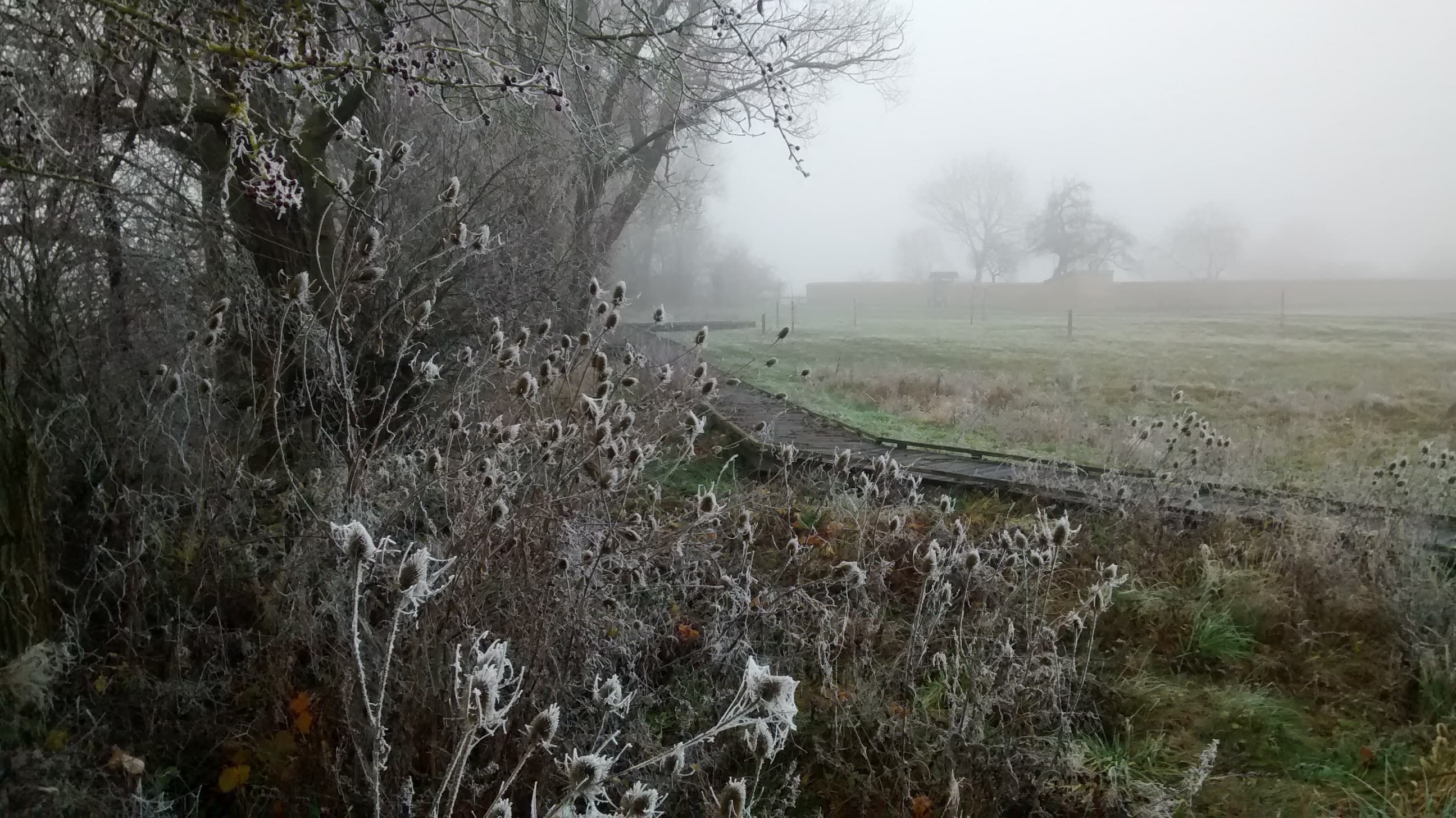 Brumeux et froid