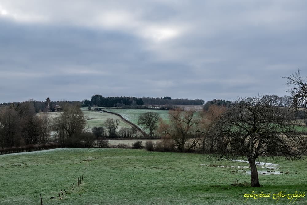 Givre persistant