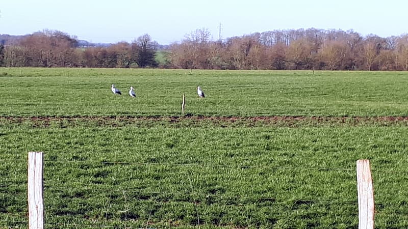 Le printemps arrive !