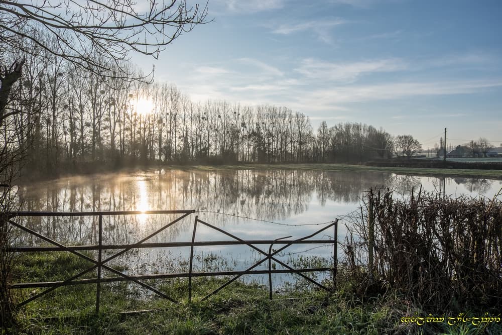 Prairinondée