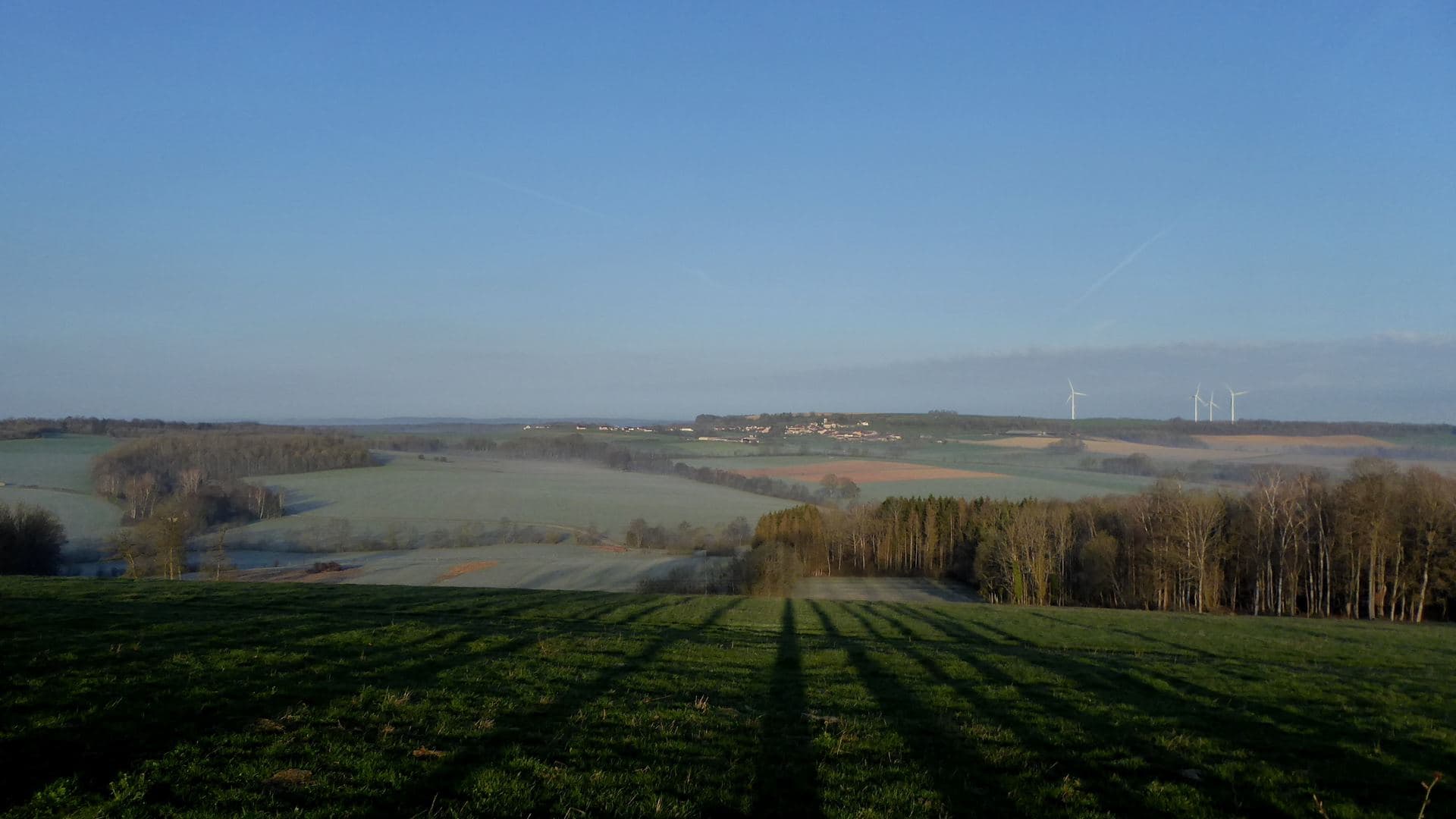 Faible gelée au loin