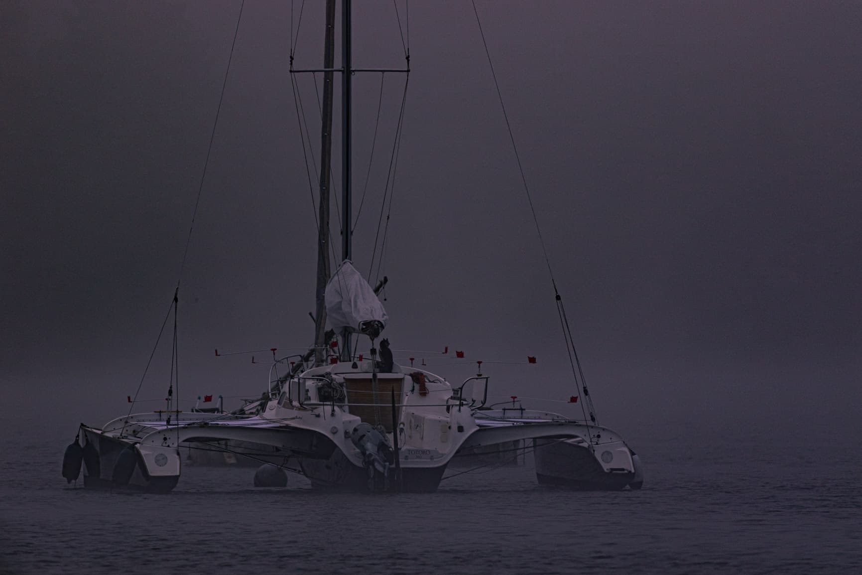 Brume